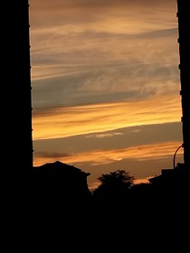 夹桃树