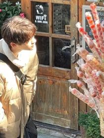 我們的山楂樹之戀