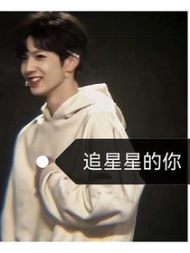 追着星星的你