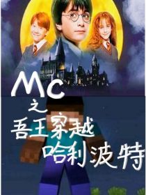 MC系列之吾王穿越哈利波特