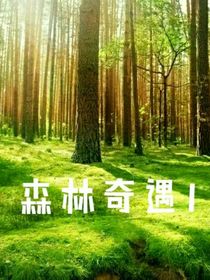 森林奇遇1