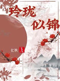 玲珑似锦