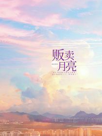 贬卖月亮