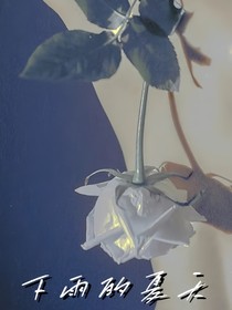 下雨的夏天