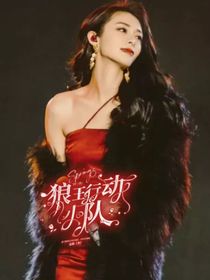TF三代：狼王行動(dòng)小隊(duì)