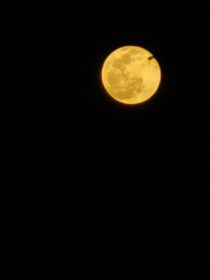 孤星伴明月