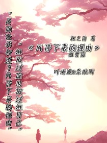 風(fēng)停下來(lái)的理由
