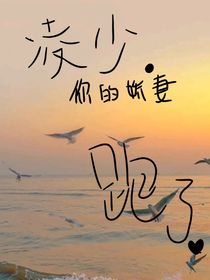 凌少……你嬌妻跑了