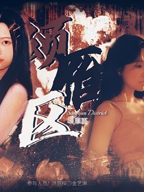 颂扬自由滴大雁