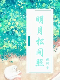 明月松間向