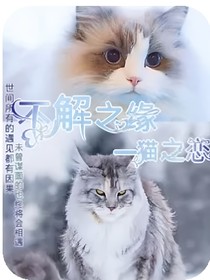 不解之緣——貓之戀（續(xù)）