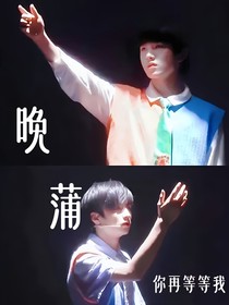 晚蒲