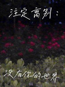 注定离别：没有你的世界