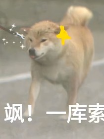 今天吃上飯了嗎