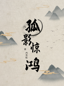 孤影驚鴻