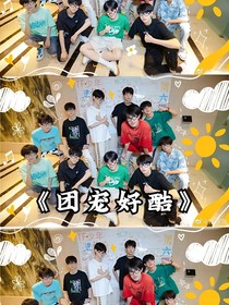 TF家族三代：好團(tuán)寵好酷