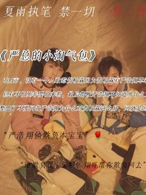 翔霖：严总的小淘气包