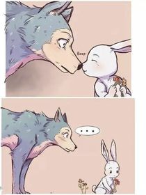 兔子和狼先生