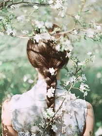炙夏一诺