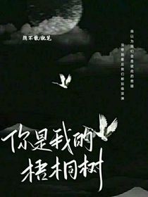 你是我的梧桐树