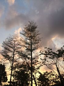 小路莫怕