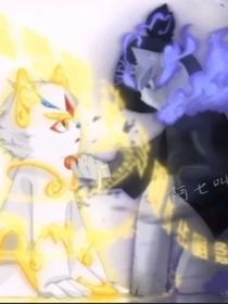 新京剧猫1