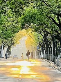 苏朱：平等