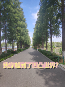 等等……我穿越到了凹凸世界？