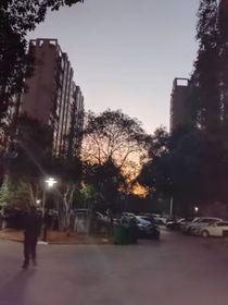 蛇与人
