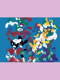 失忆碎片