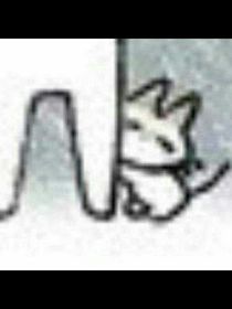 南风往事