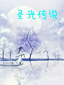 圣光传说1