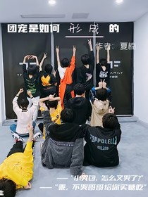 团宠是如何形成的