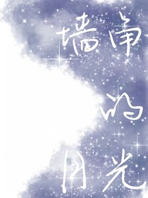 墙角的月光