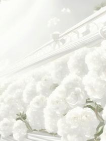 柠檬茶水