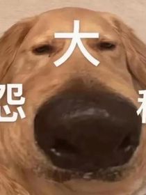 大冤种的日常