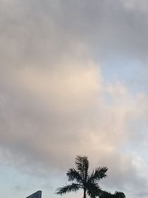 曾可几时