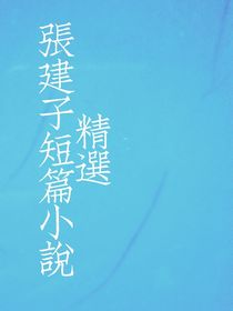 张建子短篇小说精选
