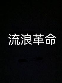流浪革命