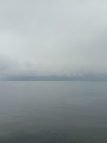 双重导向