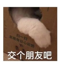 大佬爱吃鱼