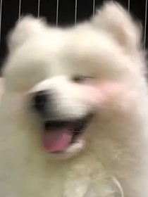 穿书后我选择体验人生