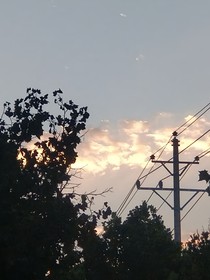 墨綾木的文案館
