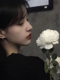 梧桐开出玫瑰