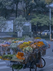 综穿：路人只想苟活