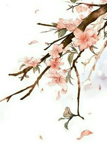 我在斗1当团宠