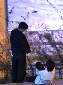 文轩：海棠花落