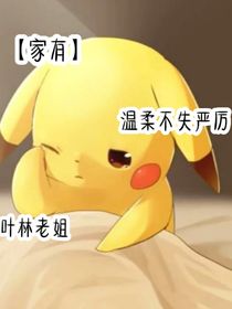 家有老姐叶林