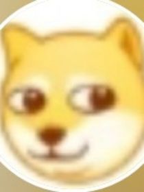 Monkey日记