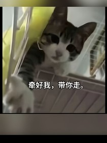 苏新皓：学霸大神跟我同居-d392